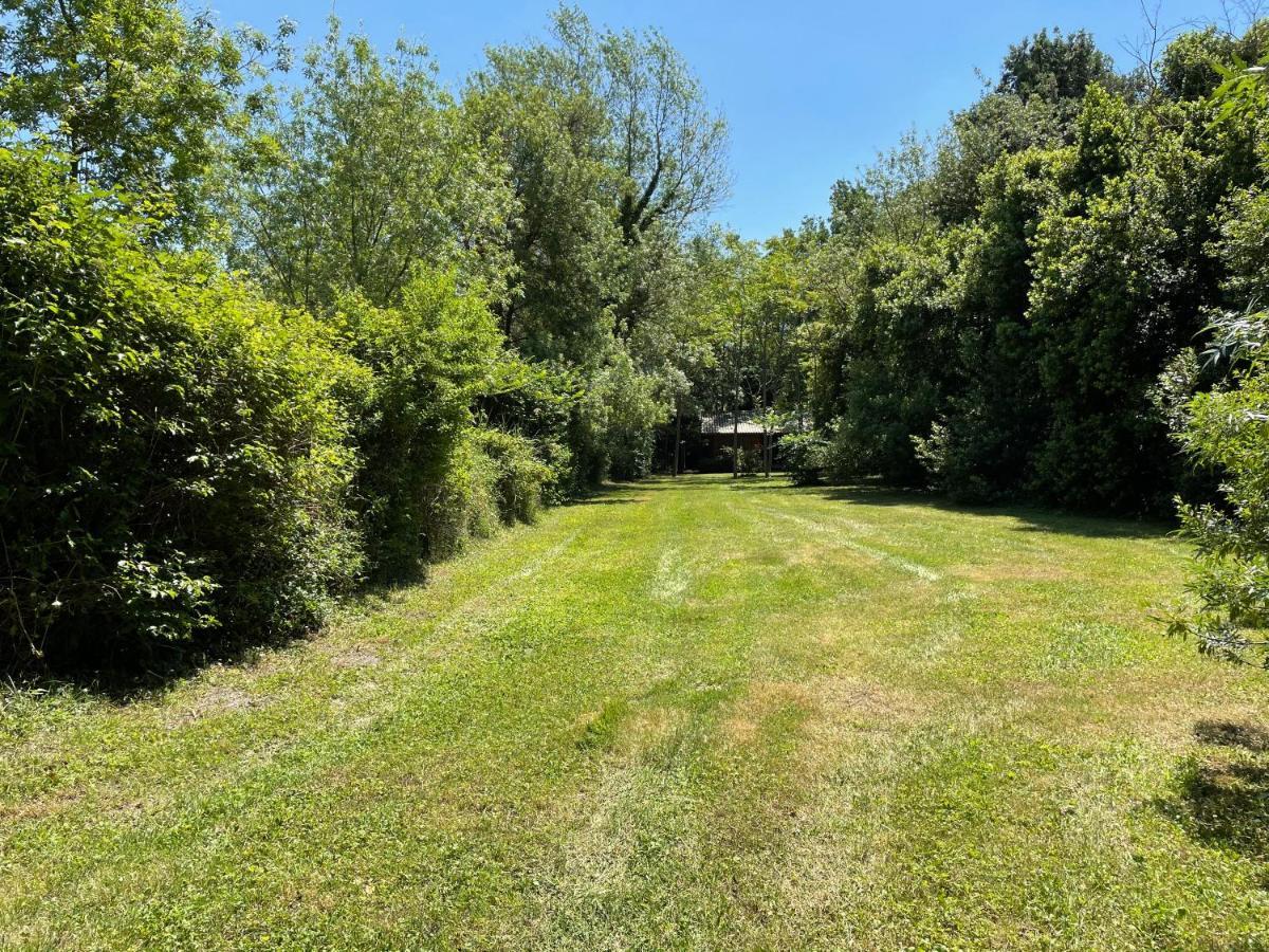 Saint-Rémy-de-Provence Bastidette Florestane מראה חיצוני תמונה