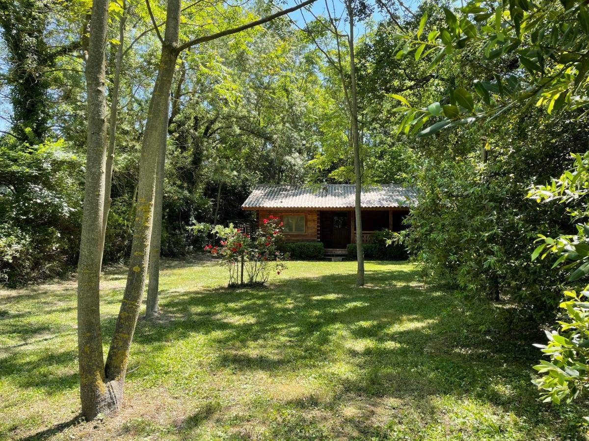 Saint-Rémy-de-Provence Bastidette Florestane מראה חיצוני תמונה