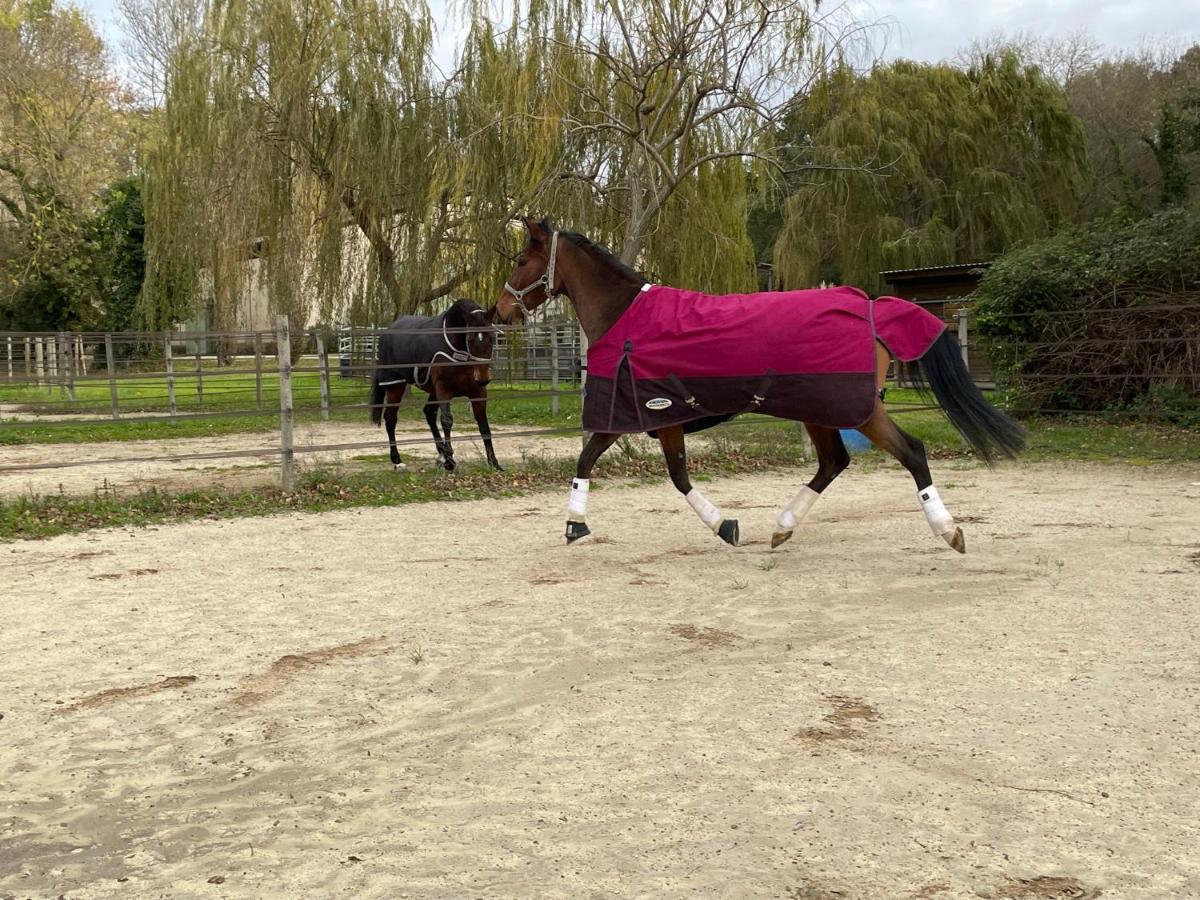Saint-Rémy-de-Provence Bastidette Florestane מראה חיצוני תמונה