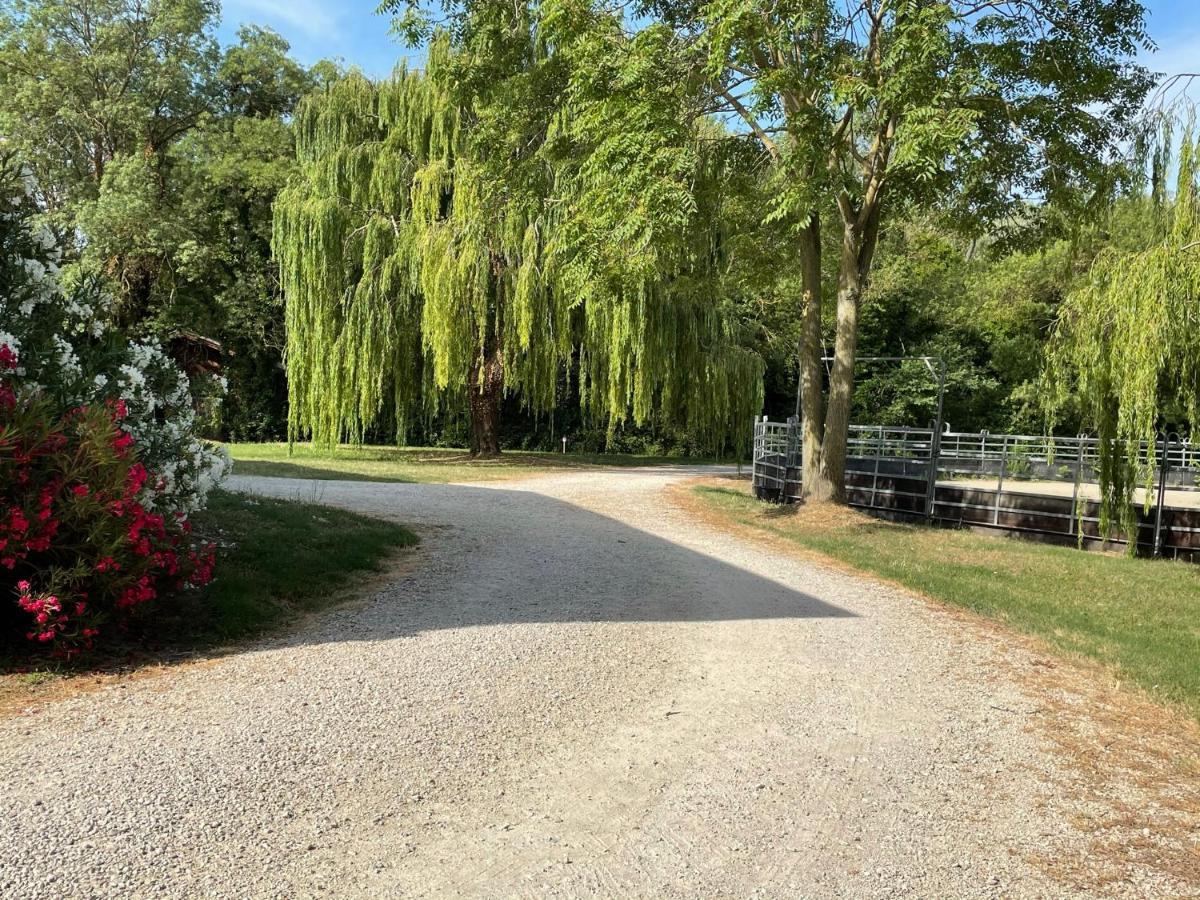 Saint-Rémy-de-Provence Bastidette Florestane מראה חיצוני תמונה